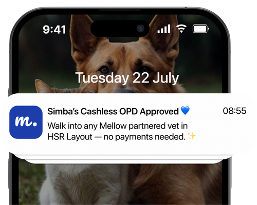 Mobile refund notification
